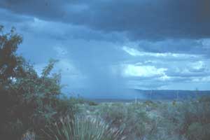 001%20rainMA19477381-0004